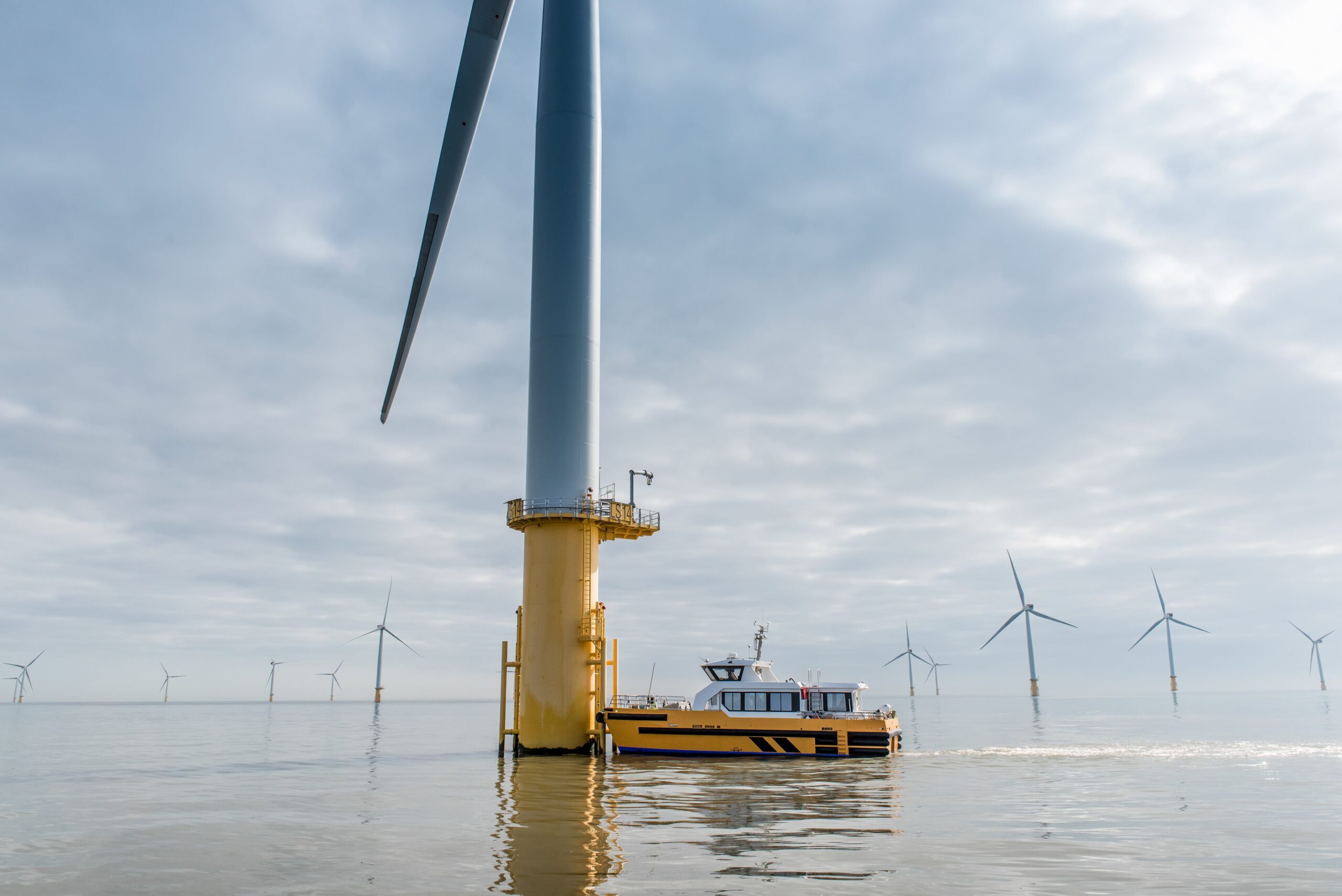 Offshore fleet